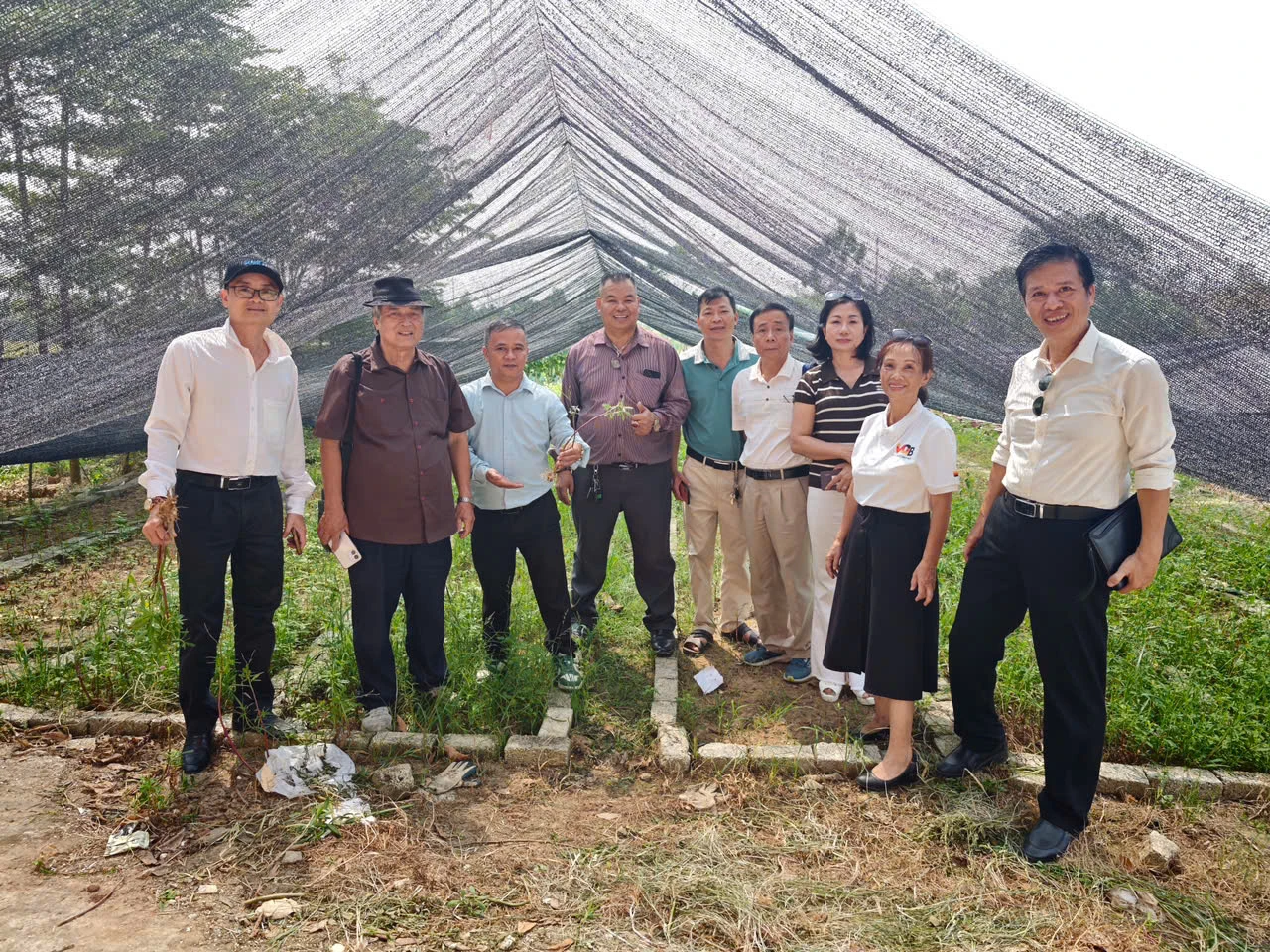 Lãnh đạo Viện Khoa học Sức khỏe thăm quan khu trồng cây Thổ sâm để hợp tác - 08/09/2026